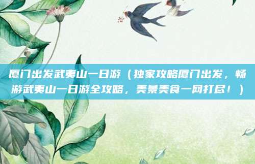 厦门出发武夷山一日游(独家攻略厦门出发,畅游武夷山一日游全攻略,美景美食一网打尽!)