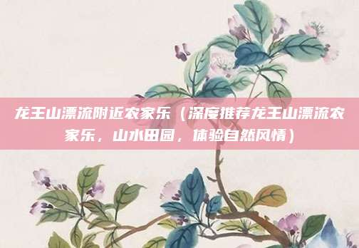 龙王山漂流附近农家乐(深度推荐龙王山漂流农家乐,山水田园,体验自然风情)