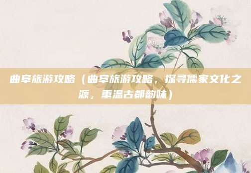曲阜旅游攻略(曲阜旅游攻略,探寻儒家文化之源,重温古都韵味)