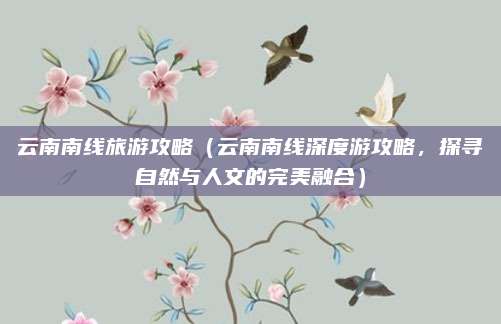 云南南线旅游攻略（云南南线深度游攻略，探寻自然与人文的完美融合）
