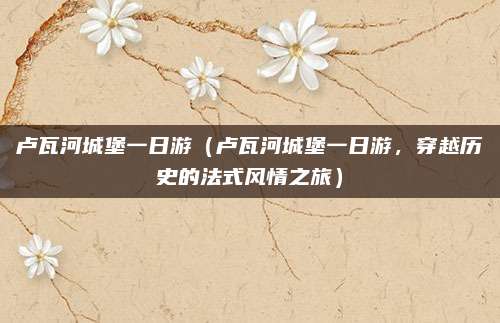 卢瓦河城堡一日游(卢瓦河城堡一日游,穿越历史的法式风情之旅)