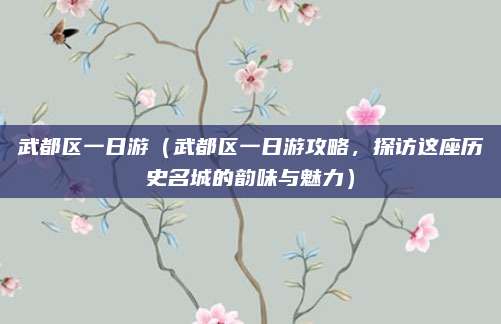 武都区一日游(武都区一日游攻略,探访这座历史名城的韵味与魅力)
