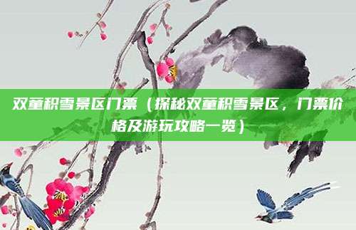 双童积雪景区门票(探秘双童积雪景区,门票价格及游玩攻略一览)