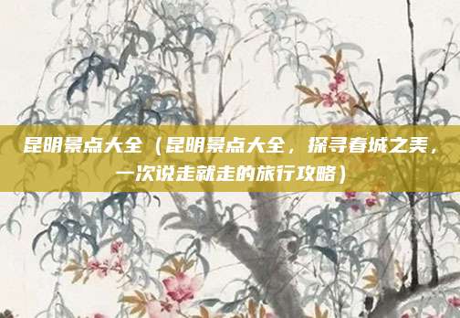 昆明景点大全(昆明景点大全,探寻春城之美,一次说走就走的旅行攻略)