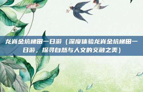 龙脊金坑梯田一日游(深度体验龙脊金坑梯田一日游,探寻自然与人文的交融之美)