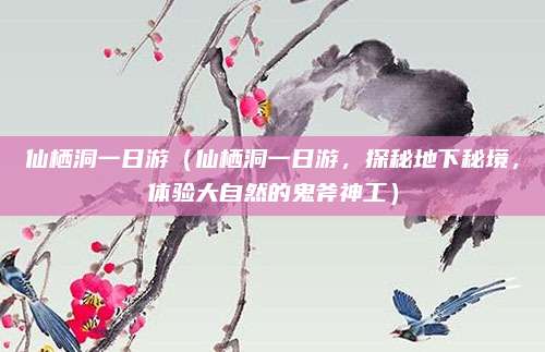 仙栖洞一日游(仙栖洞一日游,探秘地下秘境,体验大自然的鬼斧神工)