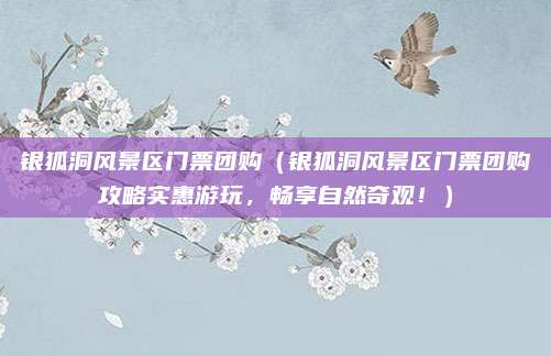 银狐洞风景区门票团购(银狐洞风景区门票团购攻略实惠游玩,畅享自然奇观!)