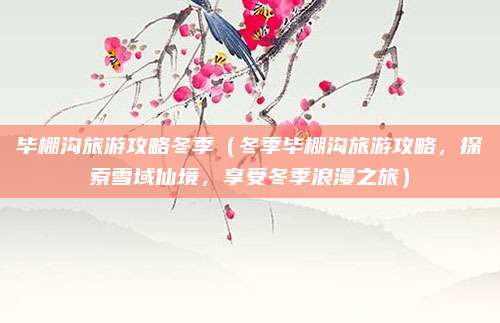 毕棚沟旅游攻略冬季（冬季毕棚沟旅游攻略，探索雪域仙境，享受冬季浪漫之旅）