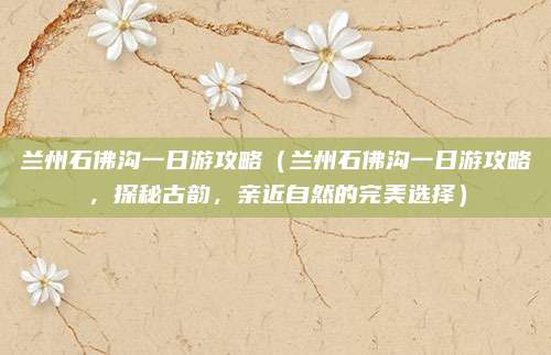 兰州石佛沟一日游攻略(兰州石佛沟一日游攻略,探秘古韵,亲近自然的完美选择)