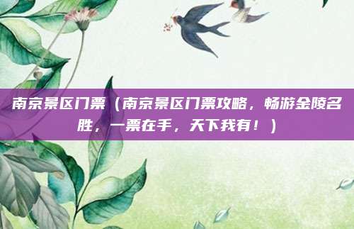 南京景区门票(南京景区门票攻略,畅游金陵名胜,一票在手,天下我有!)