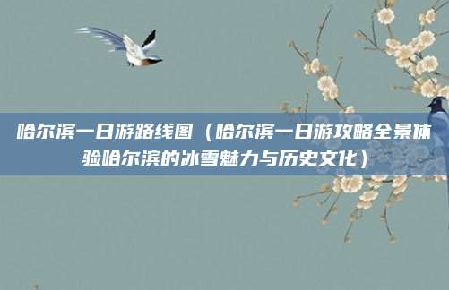 哈尔滨一日游路线图（哈尔滨一日游攻略全景体验哈尔滨的冰雪魅力与历史文化）