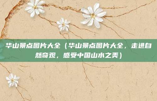 华山景点图片大全(华山景点图片大全,走进自然奇观,感受中国山水之美)