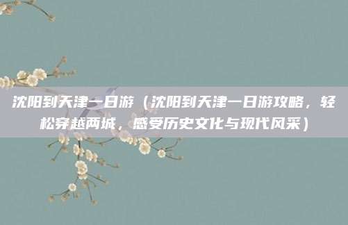 沈阳到天津一日游(沈阳到天津一日游攻略,轻松穿越两城,感受历史文化与现代风采)