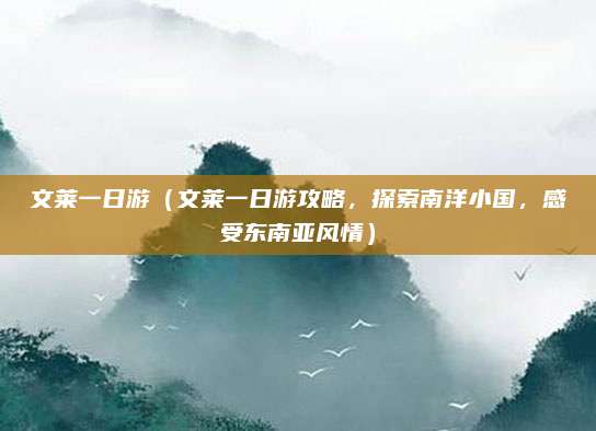 文莱一日游(文莱一日游攻略,探索南洋小国,感受东南亚风情)