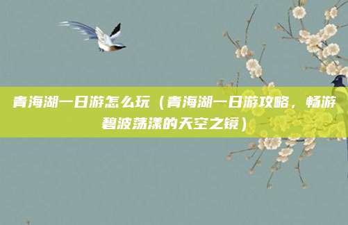青海湖一日游怎么玩（青海湖一日游攻略，畅游碧波荡漾的天空之镜）