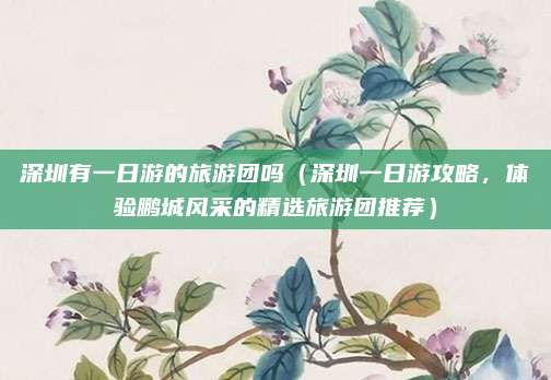 深圳有一日游的旅游团吗(深圳一日游攻略,体验鹏城风采的精选旅游团推荐)
