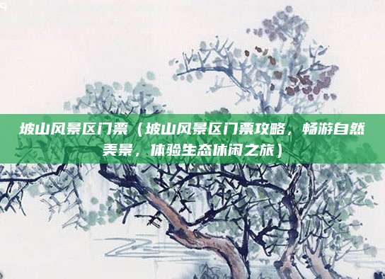 坡山风景区门票（坡山风景区门票攻略，畅游自然美景，体验生态休闲之旅）
