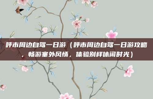 呼市周边自驾一日游(呼市周边自驾一日游攻略,畅游塞外风情,体验别样休闲时光)
