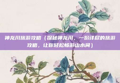 神龙川旅游攻略(探秘神龙川,一份详尽的旅游攻略,让你轻松畅游山水间)