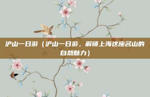 沪山一日游(沪山一日游,解锁上海这座名山的自然魅力)