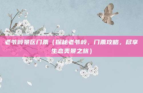 老爷岭景区门票（探秘老爷岭，门票攻略，尽享生态美景之旅）