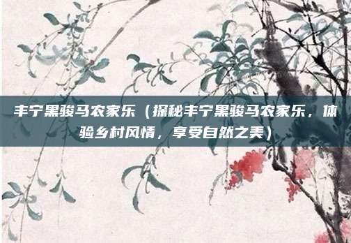 丰宁黑骏马农家乐（探秘丰宁黑骏马农家乐，体验乡村风情，享受自然之美）