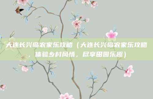 大连长兴岛农家乐攻略(大连长兴岛农家乐攻略,体验乡村风情,尽享田园乐趣)