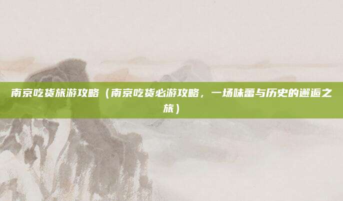 南京吃货旅游攻略(南京吃货必游攻略,一场味蕾与历史的邂逅之旅)
