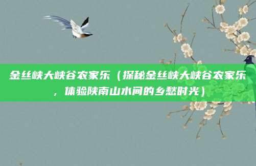 金丝峡大峡谷农家乐（探秘金丝峡大峡谷农家乐，体验陕南山水间的乡愁时光）