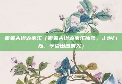 南黄古道农家乐(南黄古道农家乐体验,走进自然,享受田园时光)