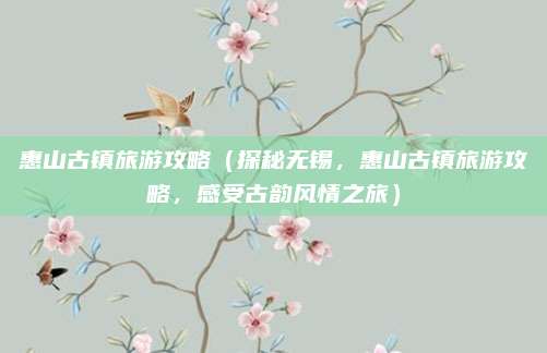 惠山古镇旅游攻略(探秘无锡,惠山古镇旅游攻略,感受古韵风情之旅)