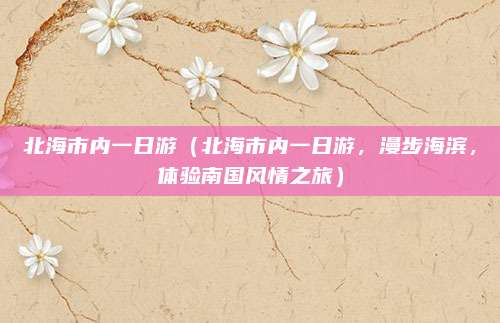 北海市内一日游（北海市内一日游，漫步海滨，体验南国风情之旅）