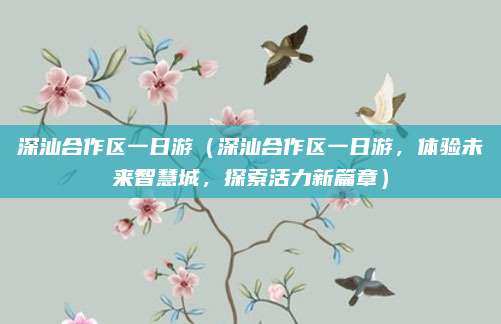 深汕合作区一日游(深汕合作区一日游,体验未来智慧城,探索活力新篇章)