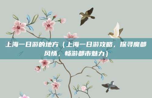 上海一日游的地方(上海一日游攻略,探寻魔都风情,畅游都市魅力)