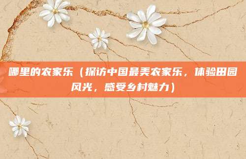 哪里的农家乐（探访中国最美农家乐，体验田园风光，感受乡村魅力）