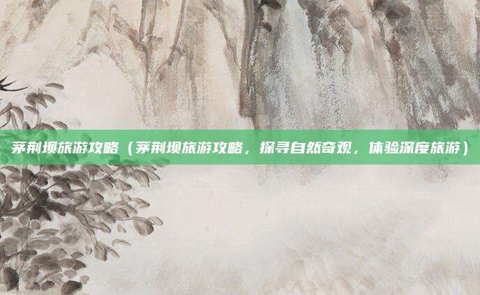 茅荆坝旅游攻略（茅荆坝旅游攻略，探寻自然奇观，体验深度旅游）