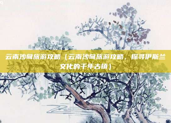 云南沙甸旅游攻略(云南沙甸旅游攻略,探寻伊斯兰文化的千年古镇)