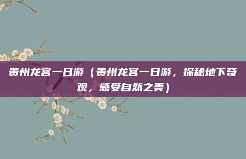 贵州龙宫一日游(贵州龙宫一日游,探秘地下奇观,感受自然之美)