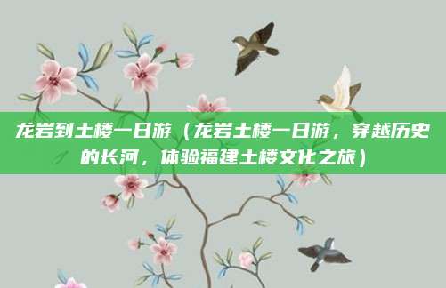 龙岩到土楼一日游(龙岩土楼一日游,穿越历史的长河,体验福建土楼文化之旅)