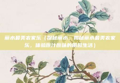 丽水最美农家乐(探秘丽水,揭秘丽水最美农家乐,体验原汁原味的田园生活)