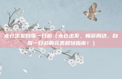太仓出发自驾一日游(太仓出发,畅游周边,自驾一日游的完美规划指南!)