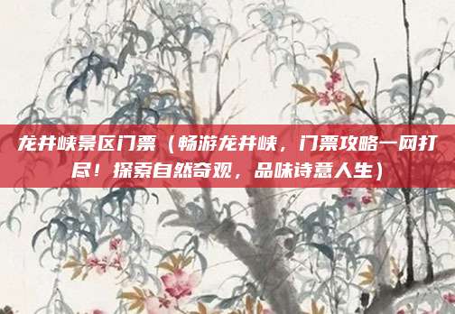 龙井峡景区门票（畅游龙井峡，门票攻略一网打尽！探索自然奇观，品味诗意人生）