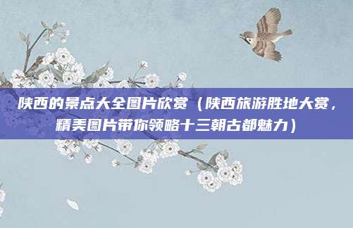 陕西的景点大全图片欣赏（陕西旅游胜地大赏，精美图片带你领略十三朝古都魅力）