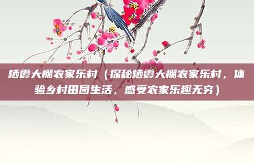 栖霞大棚农家乐村(探秘栖霞大棚农家乐村,体验乡村田园生活,感受农家乐趣无穷)