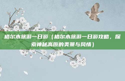 格尔木旅游一日游（格尔木旅游一日游攻略，探索神秘高原的美景与风情）