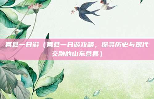 莒县一日游（莒县一日游攻略，探寻历史与现代交融的山东莒县）