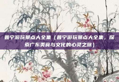 普宁游玩景点大全集(普宁游玩景点大全集,探索广东美食与文化的心灵之旅)