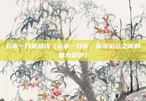 云南一日游路线（云南一日游，探索彩云之南的魅力足迹）