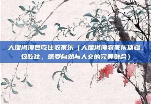大理洱海包吃住农家乐（大理洱海农家乐体验，包吃住，感受自然与人文的完美融合）