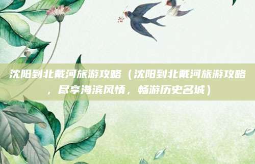 沈阳到北戴河旅游攻略(沈阳到北戴河旅游攻略,尽享海滨风情,畅游历史名城)